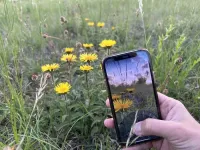 How a plant app helps identify the consequences of climate change