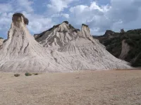 How a salt giant radically reshaped Mediterranean marine biodiversity