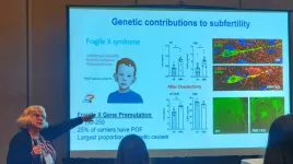 How an autism gene contributes to infertility