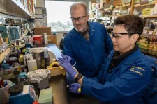 How an imbalanced gut microbiome worsens chronic kidney disease