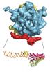 How cells export and embed proteins in the membrane