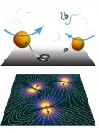 How cells transport molecules with active carpets