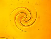 How chemistry and force etch mysterious spiral patterns on solid surfaces