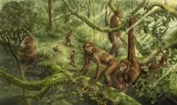 How did humans learn to walk? New evolutionary study offers an earful 2