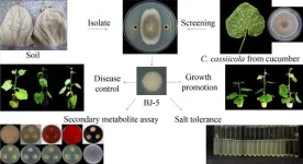 How do look for microbes in nature that are beneficial to plant?