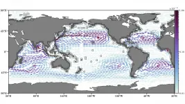 How does plastic debris make its way into ocean garbage patches?