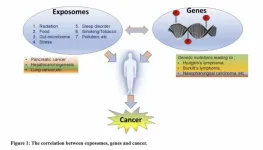 How environmental exposures affect genes and increase cancer risk