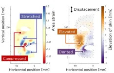 How human faces can teach androids to smile