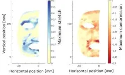 How human faces can teach androids to smile 2