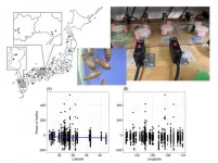 How location dictates biological clocks of species: Study in beetles offers new insights