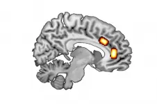 How messenger substances influence individual decision-making