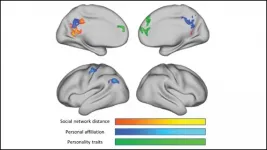 How the brain encodes social network structure