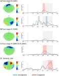 How the brain responds to prices: Scientists discover neural marker for price perception