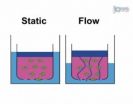 How the fluid between cells affects tumors