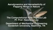 How the hummingbird achieves its aerobatic feats