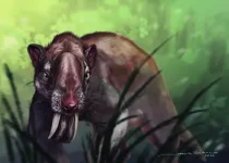 How the marsupial sabertooth thylacosmilus saw its world