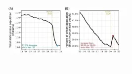 How the pandemic exacerbated racial inequalities in the US criminal legal system