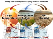 How the relationship between the land and atmosphere facilitated the persistence of eastern China’s extreme weather and climate in summer 2022？