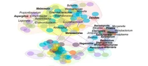 How the respiratory tract microbiome influences the severity of bacterial pneumonia