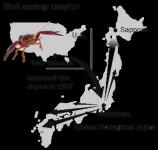 How the tropical red swamp crayfish successfully invaded the cold regions of Japan