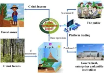 How to solve the challenges faced by the carbon sequestration function of Chinese plantations in the future?