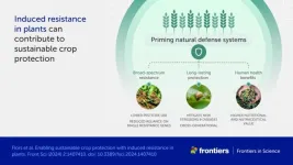 How ‘vaccinating’ plants could reduce pesticide use and secure global food supplies