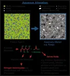 How were amino acids, one of the key building blocks of life, formed before the origin of life on Earth? Tiny particles from the near Earth asteroid Ryugu can help answer this profound question 2