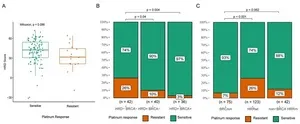 HRD detection predicts sensitivity to platinum-based chemotherapy for ovarian cancer patients in China - BGI Insight 2