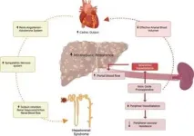 HRS-AKI treatment options could be expanded 2