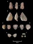 Human ancestor thrived longer in harsher conditions than previous estimates