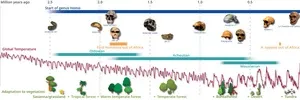 Human ancestors preferred mosaic landscapes and high ecosystem diversity 2