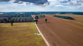 Human disruption is driving ‘winner’ and ‘loser’ tree species shifts across Brazilian forests