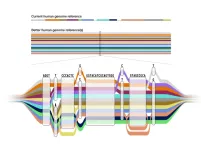 Human pangenome reference will enable more complete and equitable understanding of genomic diversity