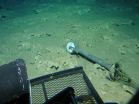 HURL and NOAA team discover intact 'ghost ship' off Hawai'i 3