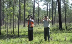 Hurricanes boost cone production in longleaf pine