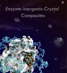 Hybrid enzyme catalysts synthesized by a de novo approach for expanding biocatalysis