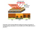 Hydrogels used to make precise new sensor