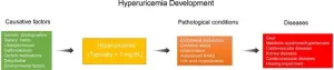 Hyperuricemia: Current state and prospects