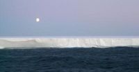 Icebergs in the Antarctic play important role in carbon cycle