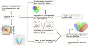 Identification and exploration of transcripts involved in antibiotic resistance mechanism of two critical superbugs