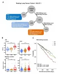 Identification of RNA editing profiles and their clinical relevance in lung adenocarcinoma