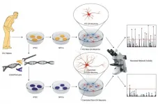 Identified an early neuronal dysfunction in Parkinson's that could help early diagnosis