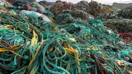 If we cant untangle this mess, Norways blue industry will never be green