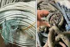 If we can't untangle this mess, Norway's blue industry will never be green 3