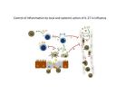 IL-27 balances the immune response to influenza and reduces lung damage 2