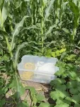 Illinois-led study reveals stable soil moisture variability within fields and opens the door for satellite remote sensing for future measurements 2