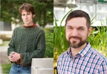 Illinois scientists to test modernized genetic model for optimized crop breeding