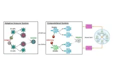 Illinois Tech assistant professor receives award for using insights from human immune system to strengthen AI