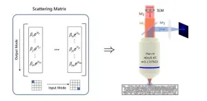 Illuminating new horizons: Navigating nonlinear scattering with precision