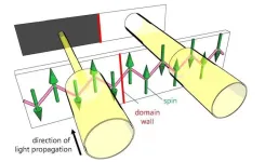 Illuminating quantum magnets: Light unveils magnetic domains